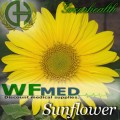Sunflower Oil