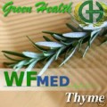 Thyme Oil 