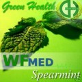 Spearmint 5 ml (Choice up to 32oz)