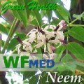 Neem 1 Gallon