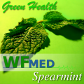 Spearmint 1 Gallon (choice up to 5  Gallon)