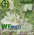 Kukui Nut Oil