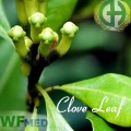 Clove Leaf 5ml  (Choice up to 32oz)