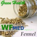 Fennel 5 ml  (Choice up to 32oz)