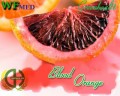 Blood Orange ( Choice up to 32oz)