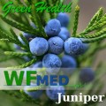 Juniper Berry 5 ml (Choice up to 32oz)