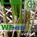 Vetiver 5 ml (Choice up to 16oz)