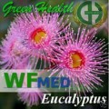 Eucalyptus 5 ml  (Choice up to 32oz)