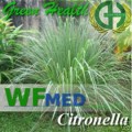Citronella 5 ml  (Choise up to 32oz)