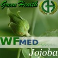 Jojoba