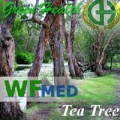 Tea Tree 5 ml  (Choice up to 1 Gallon)