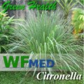 Citronella  1 gallon  (Choise up to 55 Gallon)